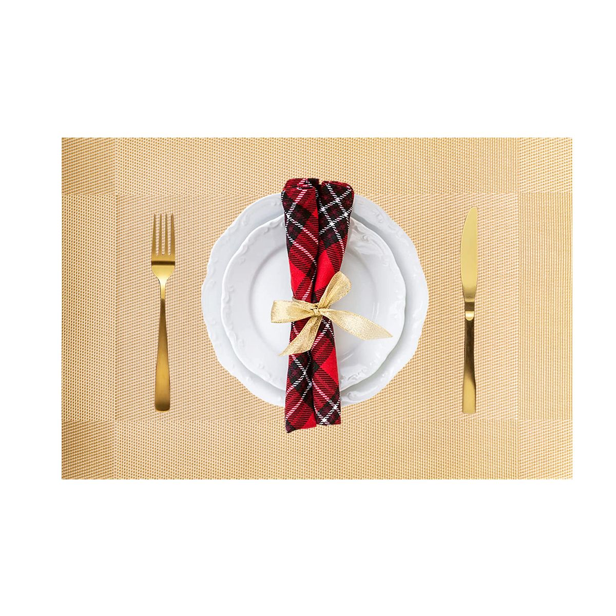 Table Mat / Place Mat - 45x30 cm - Pack of 6