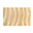 Placemat 2955 _1.webp